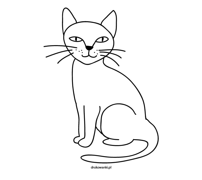 narysowany kotek do kolorowania