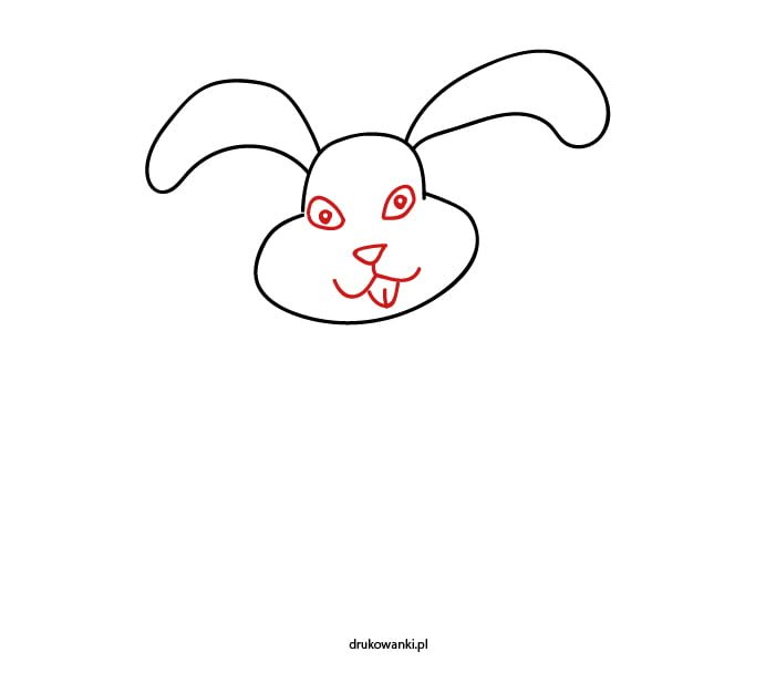 jak narysować pyszczek królika