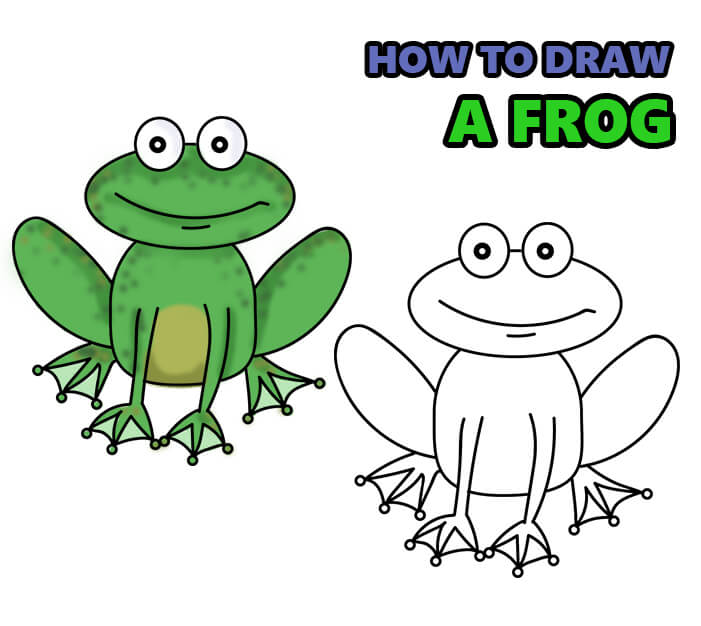 how to draw a frog step by step