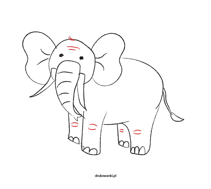 jak narysować słonika