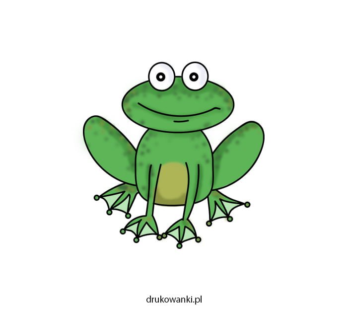 kolorowa żabka rysunek dla dzieci
