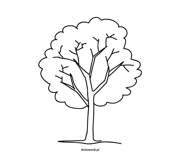 drzewo kolorowanka