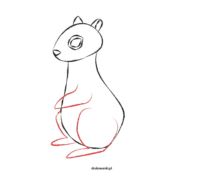 instrukcja jak narysować wiewiórkę