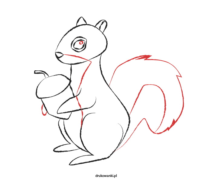 rysowanie wiewiórki instrukcja dla dzieci