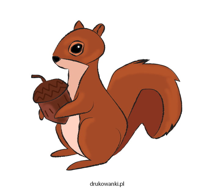rysunek wiewiórki dla dzieci