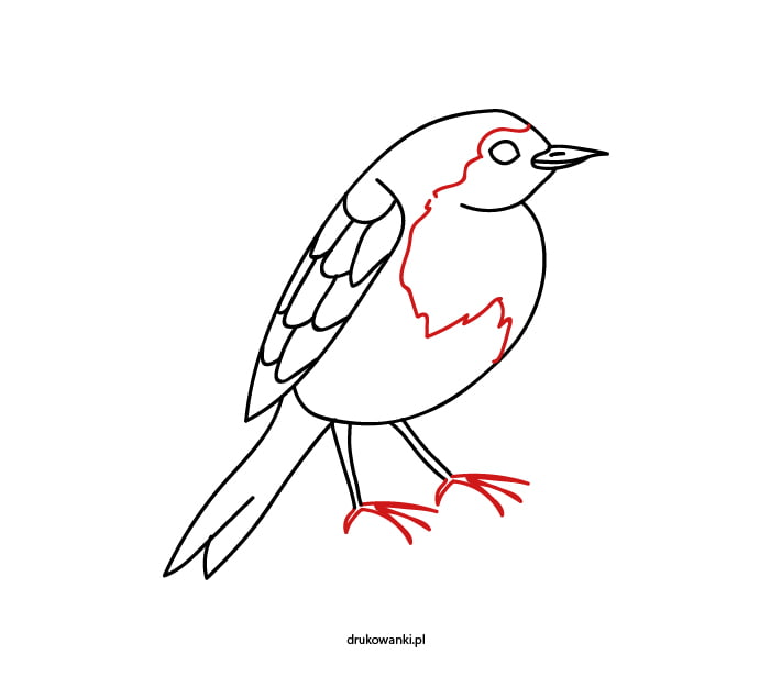 rysunek ptak