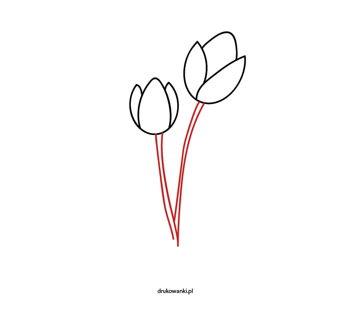 jak namalować tulipany
