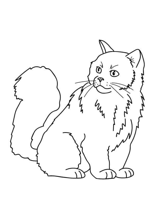 rysunki kotów kolorowanka