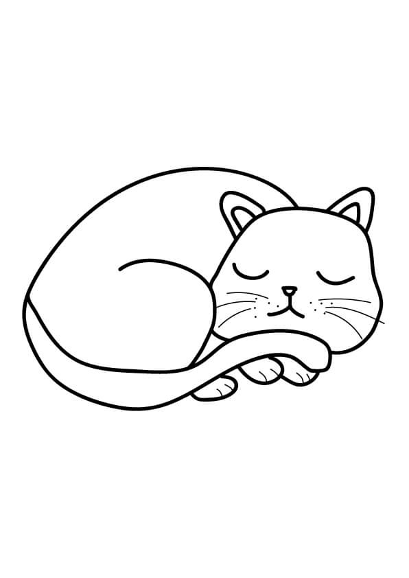 śpiący kotek rysunek dla dzieci