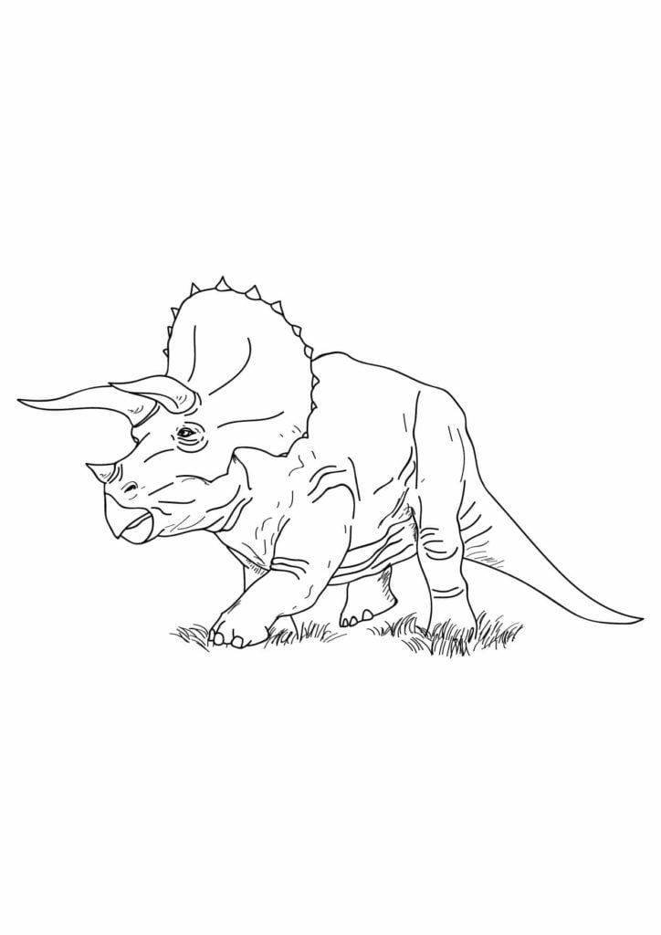 rysunek triceratopsa dinozaura