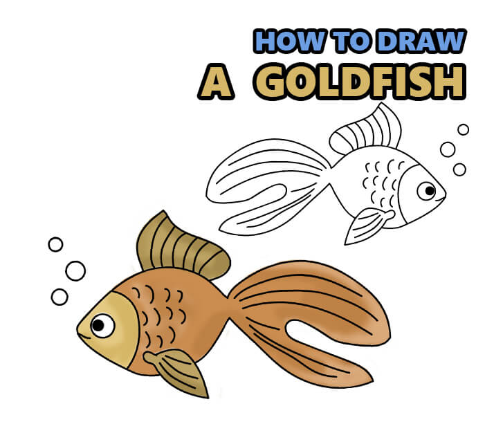 how to draw a goldfish