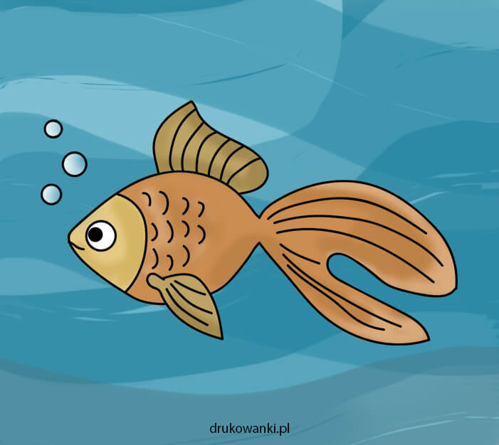złota rybka rysunek