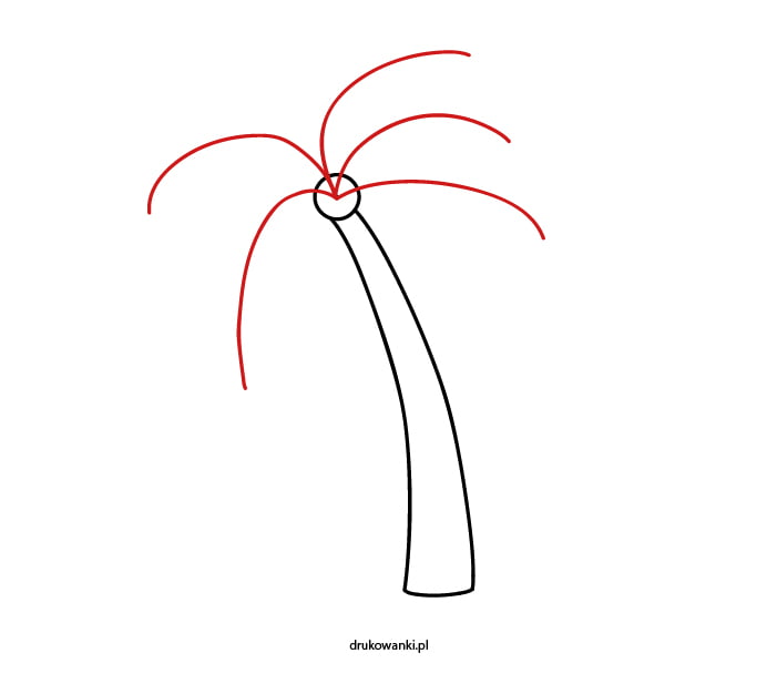 jak narysować palmę