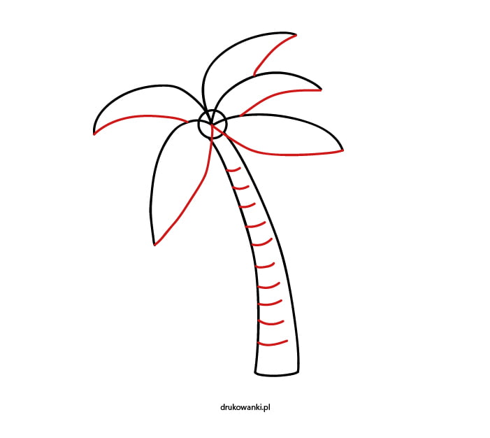 jak narysować liście palmy
