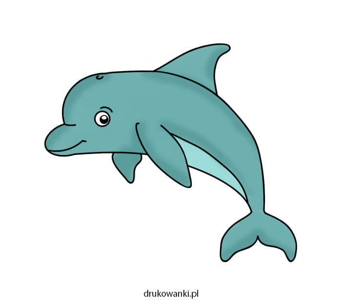 kolrowy rysunek delfin