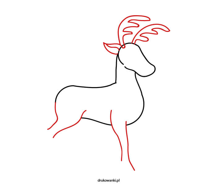 step by step drawing of reindeer