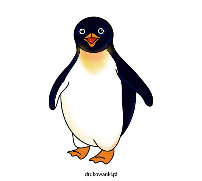 colored drawing of a penguin